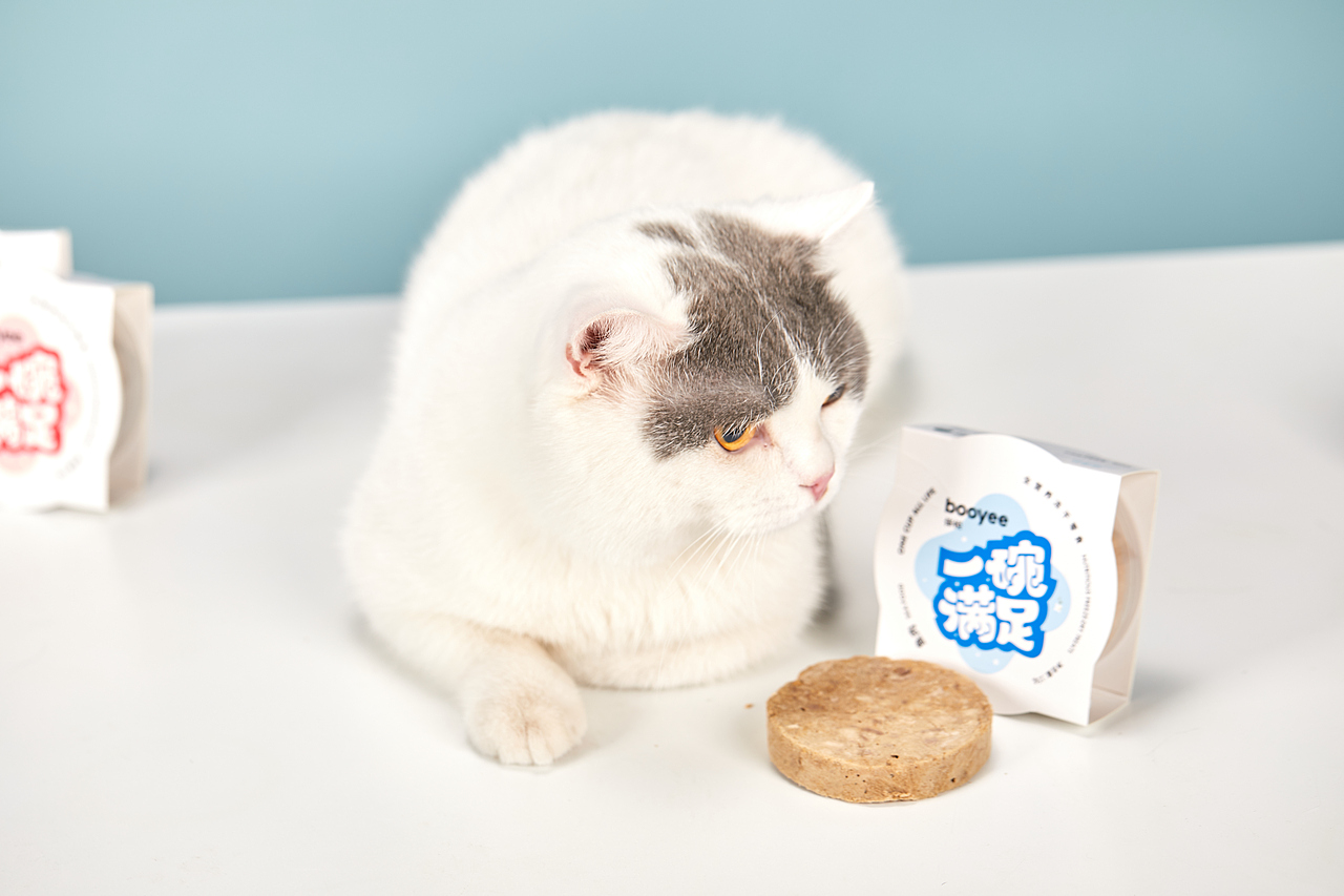 猫粮（图ZMjI0NDI3NjI4） - 产品摄影 - 站酷设计师慕尚大象商业摄影原创素材 - 站酷ZCOOL