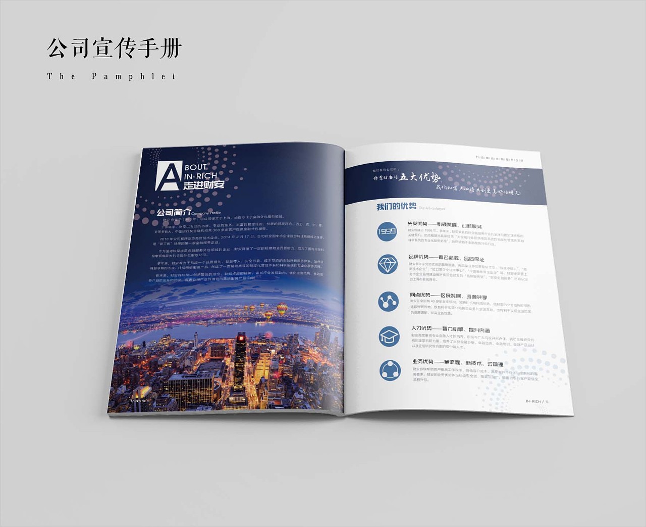 最新制作的金融行业公司手册(未定稿)