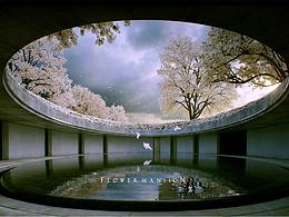 地产广告