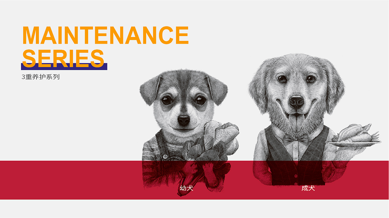 晨狮原创设计丨安贝(安诺品牌)猫粮狗粮系列包装设计