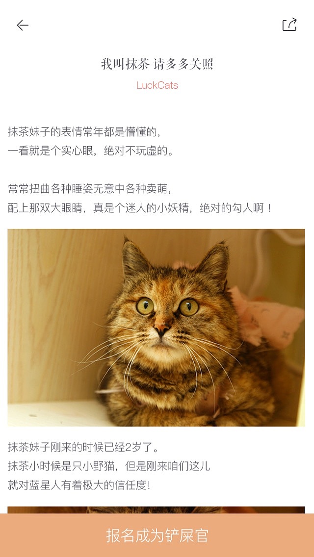 领养中心 内容页