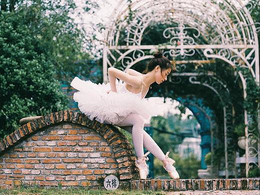 「 The Swan 」