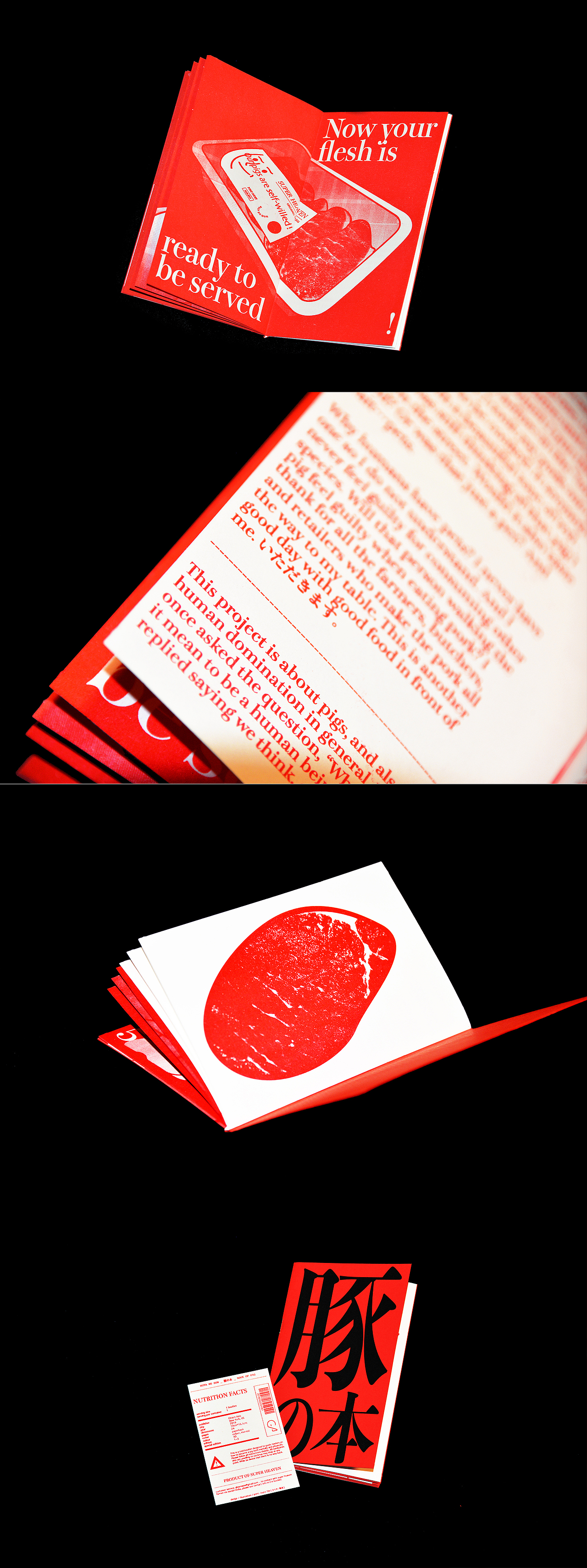 豚の本_BOOK OF PIG