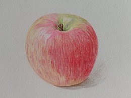 素描静物|纯艺术|绘画|泥巴123 - 原创作品 - 站酷 (zcool)