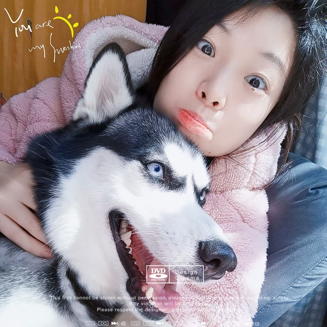 帅吗？拿智商换的～（图ZMjk0Njk3ODQw） - 宠物摄影 - 站酷设计师狮子座的琳琳哟原创素材 - 站酷ZCOOL