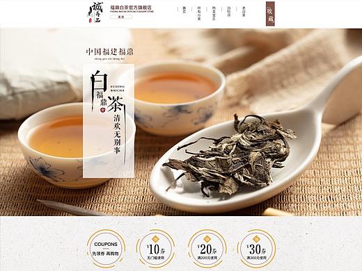 福鼎白茶首页