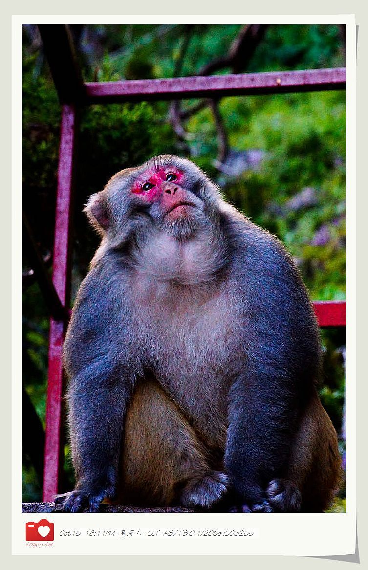 ◤岁月静好❤安然若素◢ 最接近天堂的地方，一轉身便是天涯（图ZNzE1MzQzMg==） - 风光摄影 - 站酷设计师咪噜咪噜原创素材 - 站酷ZCOOL