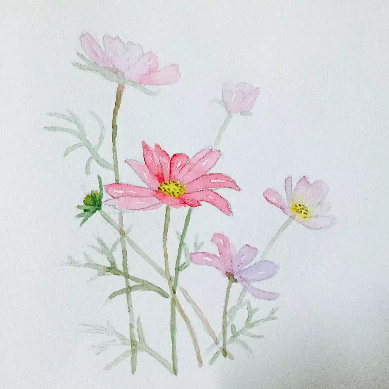 彩色铅笔手绘临摹