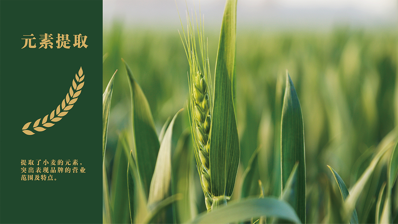 江小厨——大向（图ZMjMyNDk4Mjcy） - Logo - 站酷设计师一只大向原创素材 - 站酷ZCOOL