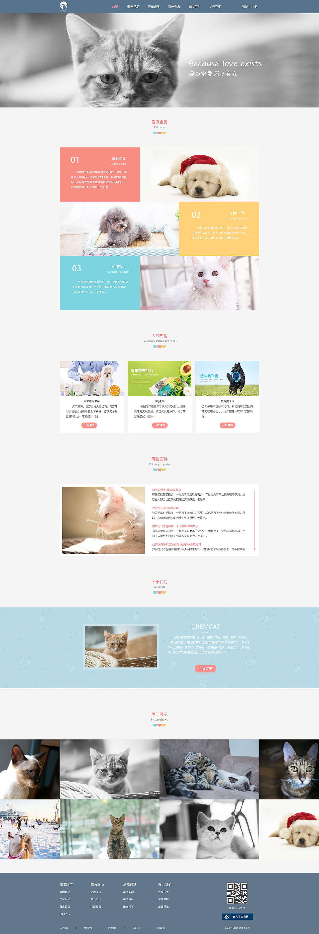 宠物网站（图ZMTI0NDUwODI0） - 企业官网 - 站酷设计师走走走哇原创素材 - 站酷ZCOOL