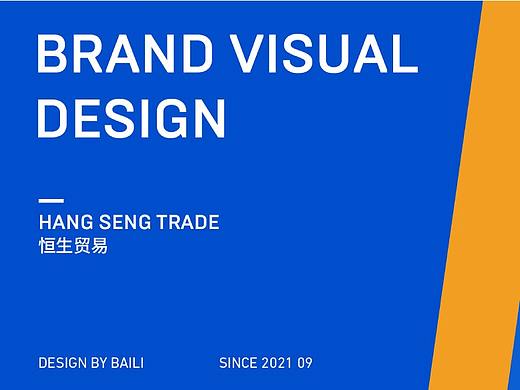 恒生贸易 | 原创品牌VI设计