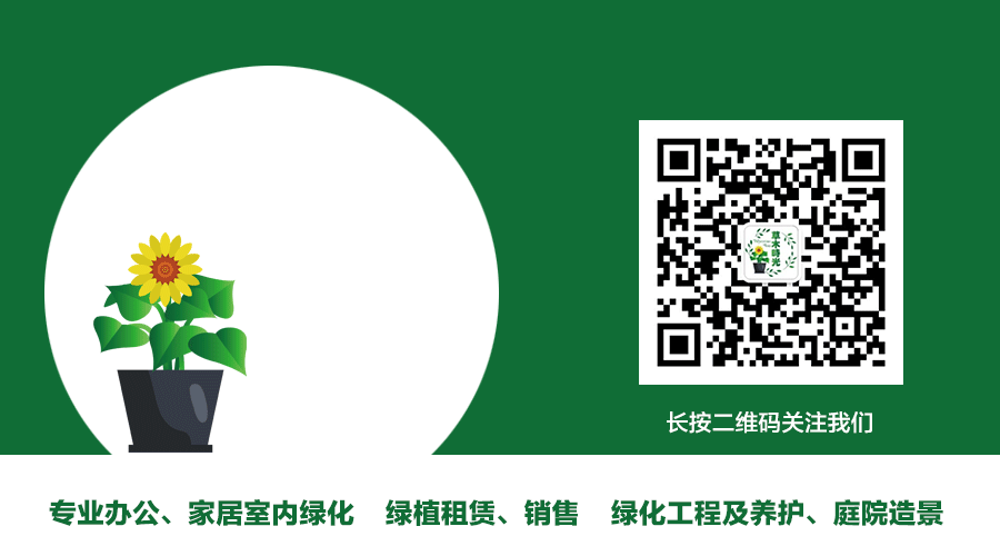 草木时光Logo 提案2（图ZMTUzNDk5NzM2） - Logo - 站酷设计师杜龄龄原创素材 - 站酷ZCOOL