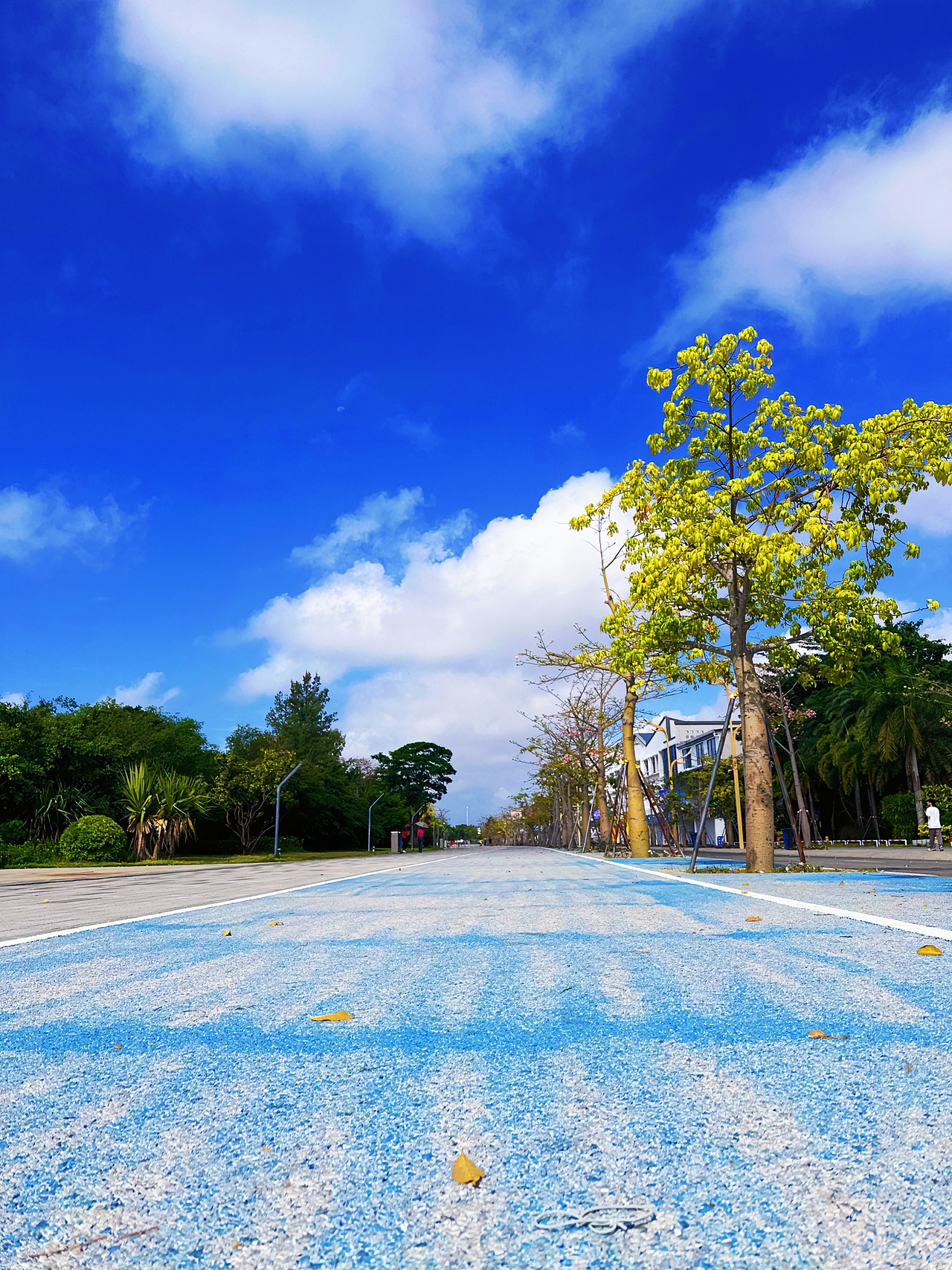【北海】今年与喜欢的人去看海了吗？