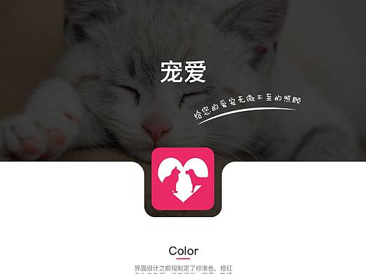 宠爱作品
