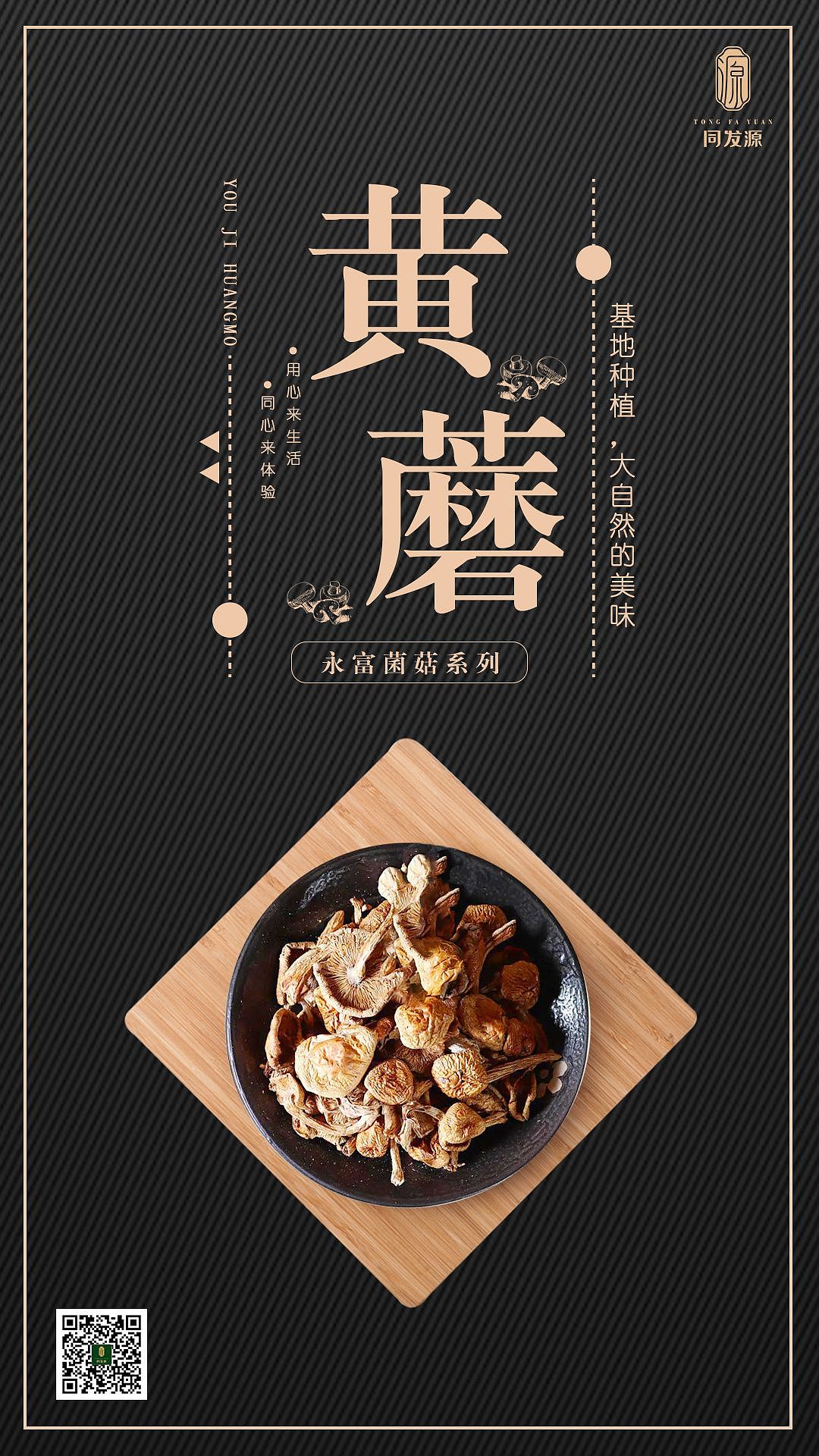 同发源产品海报（图ZMzU0OTI3OTUy） - 海报 - 站酷设计师九廷原创素材 - 站酷ZCOOL