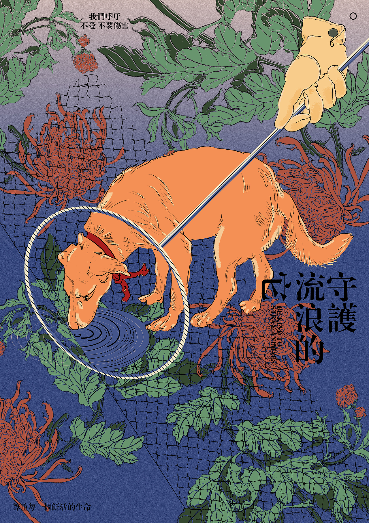 尊重流浪的生命