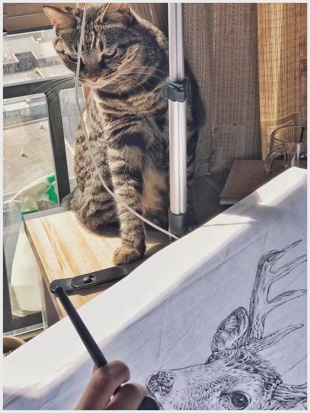 布上手绘（图ZOTQ3MTQ0MTI=） - 其他手工艺 - 站酷设计师半毫米原创素材 - 站酷ZCOOL