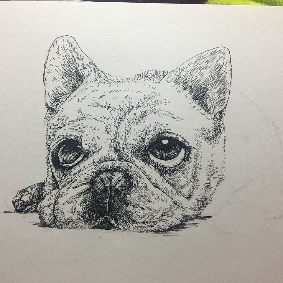 手绘狗狗（图ZMTA4NDk0MDk2） - 绘画 - 站酷设计师啊皎皎原创素材 - 站酷ZCOOL