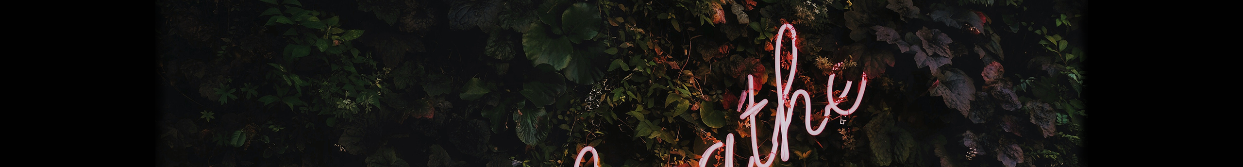 小飛哥996的個人主頁（封面預覽） - 主頁封面設置 - 站酷設計師小飛哥996原創(chuàng)素材 - 站酷ZCOOL