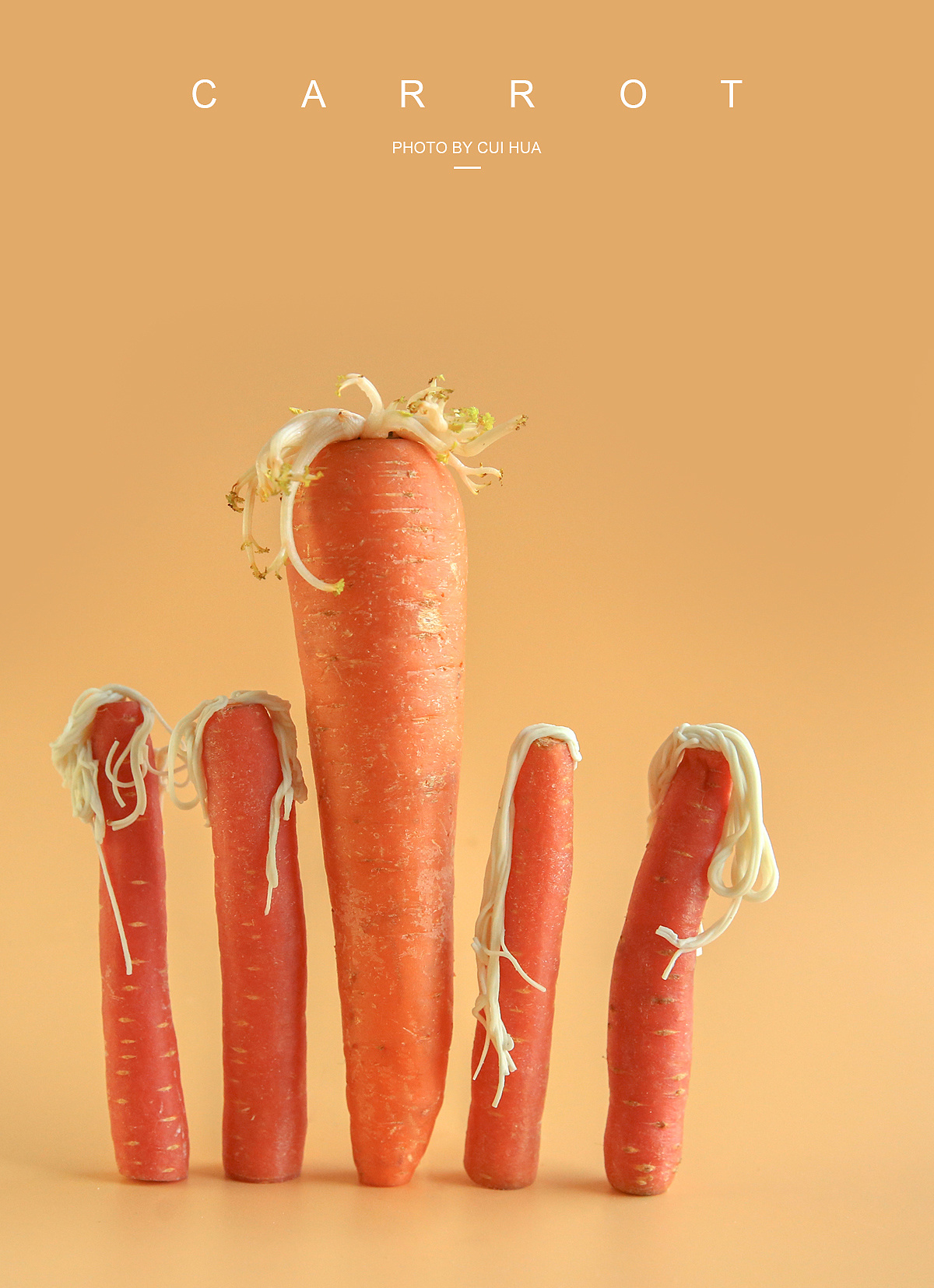 一个胡萝卜的自我救赎