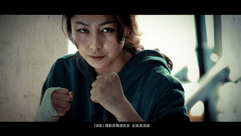 谍影重重【爱良安人像】