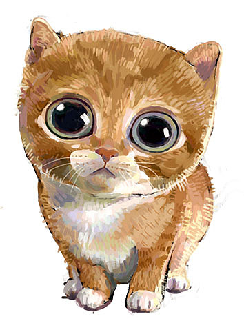 手绘插画-猫咪