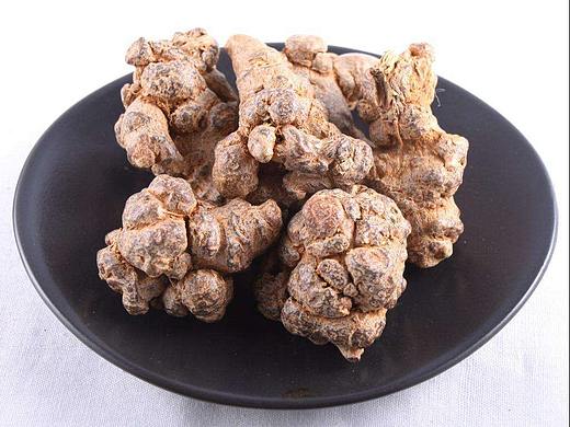 中药三七