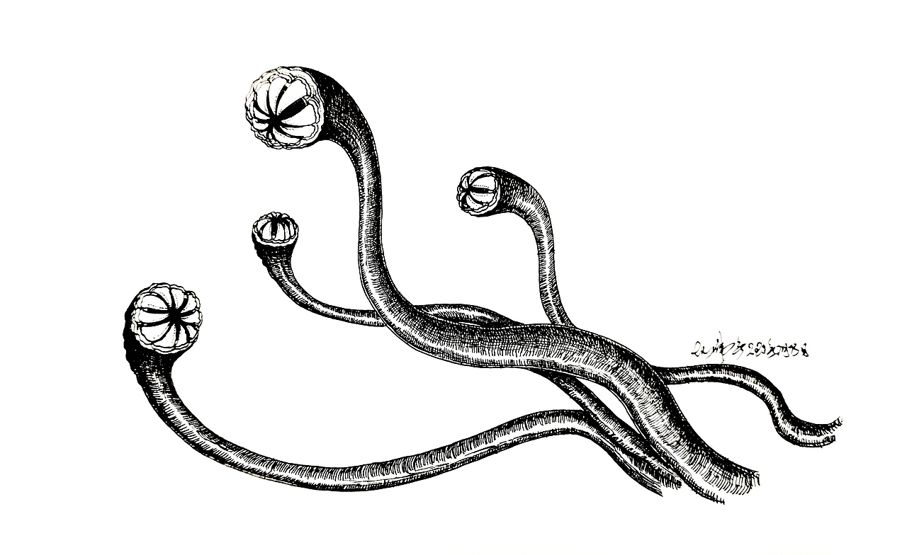 悬疑小说《魍魉之夜》插画（图ZMjg0NjMxODAw） - 商业插画 - 站酷设计师龙伟平原创素材 - 站酷ZCOOL