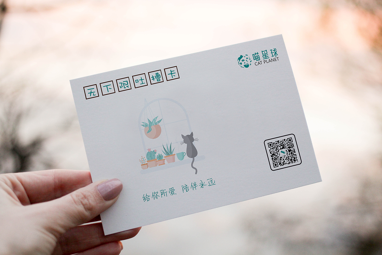 喵星球的一段经历