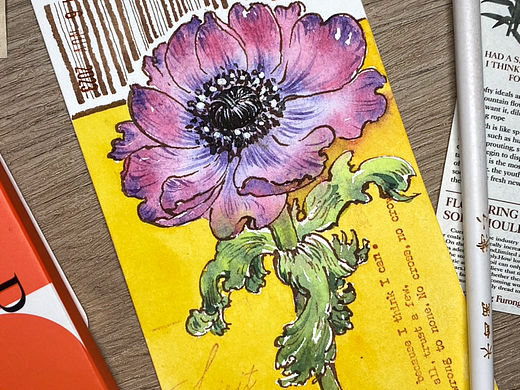 钢笔淡彩 银莲花