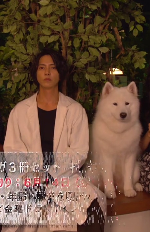 在下小凌子的个人主页（背景预览） - 主页背景设置 - 站酷设计师在下小凌子原创素材 - 站酷ZCOOL