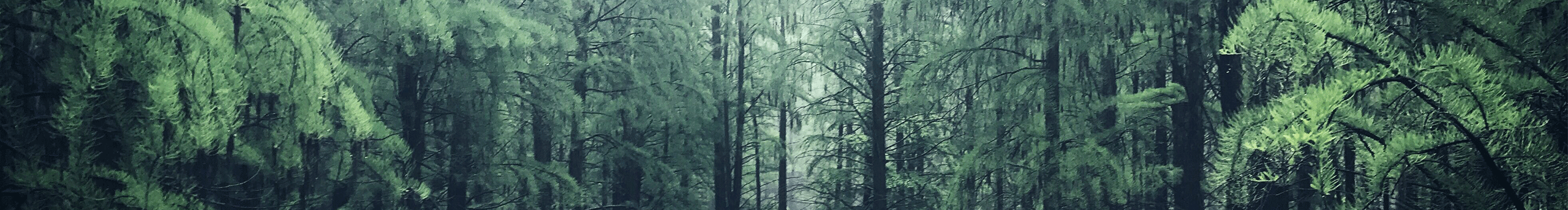 紅心西瓜的個(gè)人主頁（封面預(yù)覽） - 主頁封面設(shè)置 - 站酷設(shè)計(jì)師紅心西瓜原創(chuàng)素材 - 站酷ZCOOL