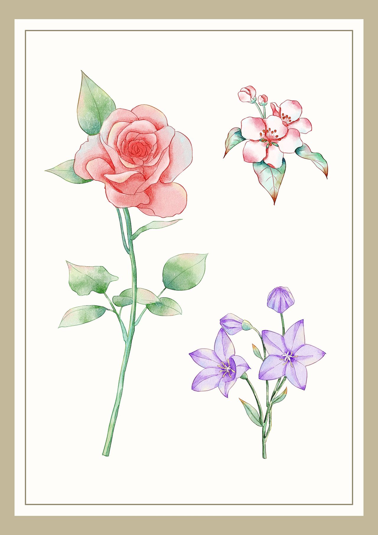 PS仿水彩 植物、花卉、蛋糕练习（图ZMjkyNjA1NjI0） - 创作习作 - 站酷设计师zj200821011118原创素材 - 站酷ZCOOL