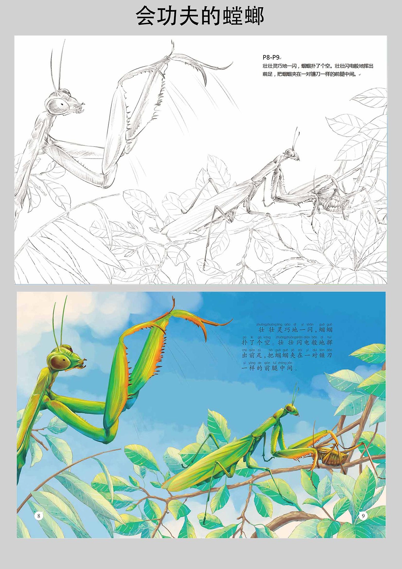 《自然科学绘本--昆虫类》