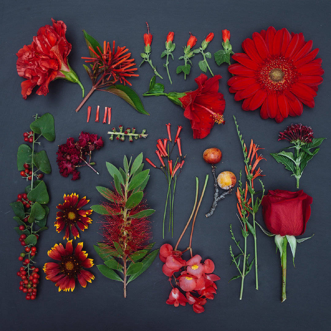 同色拆花|摄影|产品摄影|bxqwolf - 原创作品 - 站酷 (zcool)