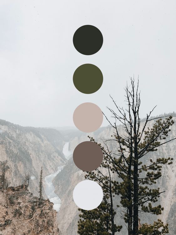 50张完美配色卡.