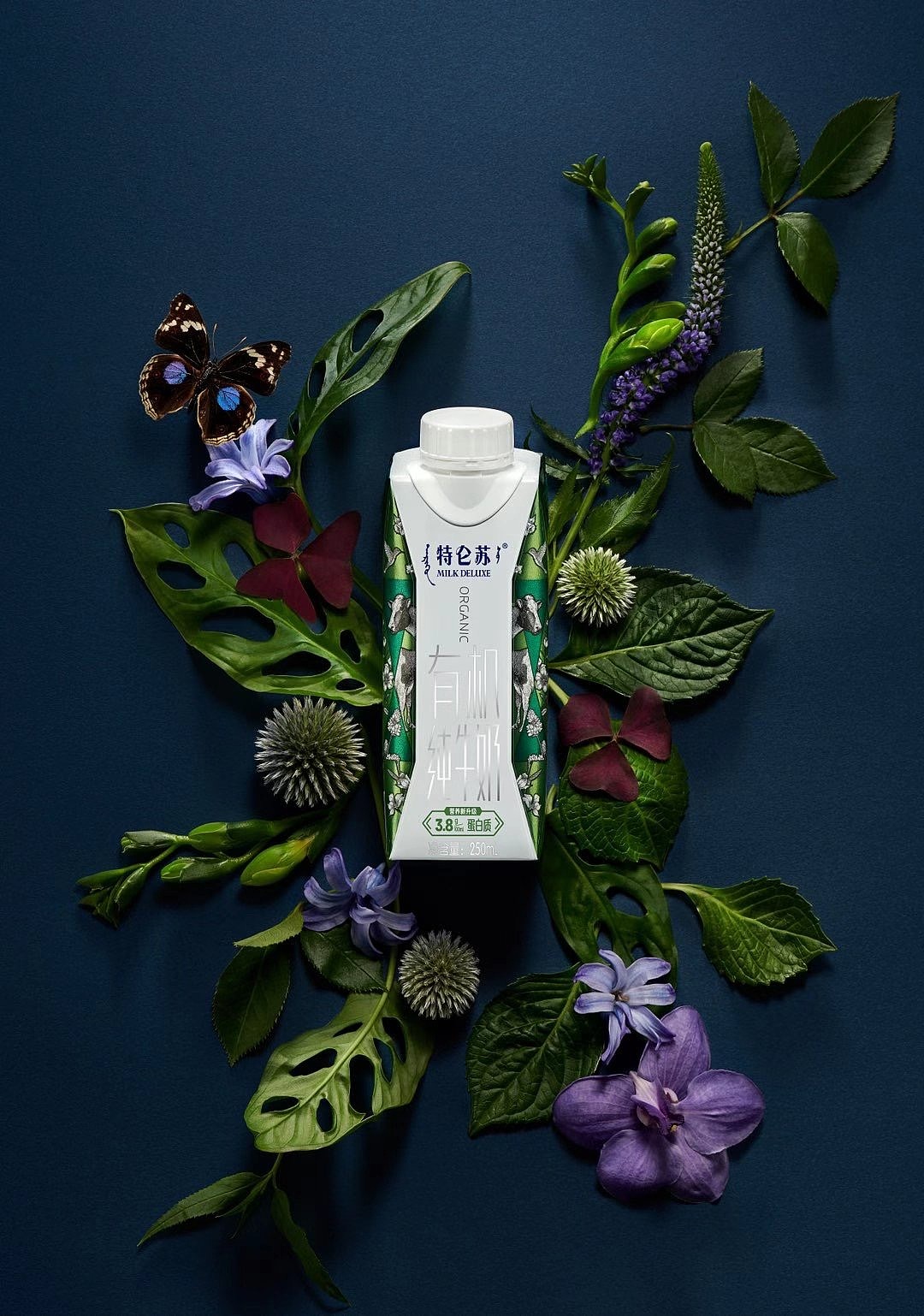 特仑苏有机奶 包装设计_容禾-站酷zcool