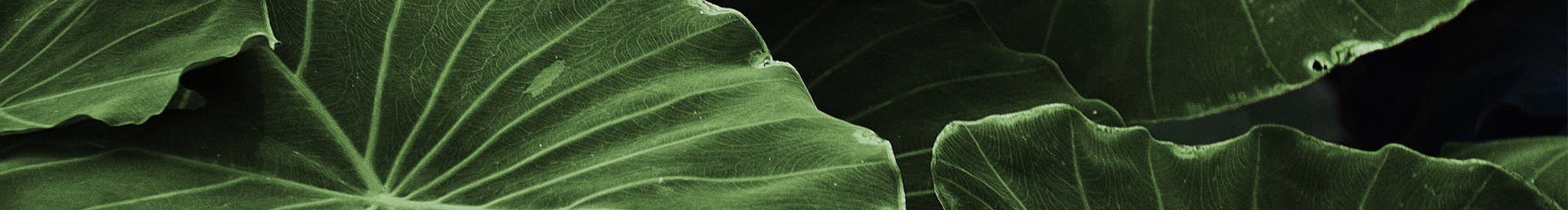 叫HAHA就好的个人主页（封面预览） - 主页封面设置 - 站酷设计师叫HAHA就好原创素材 - 站酷ZCOOL