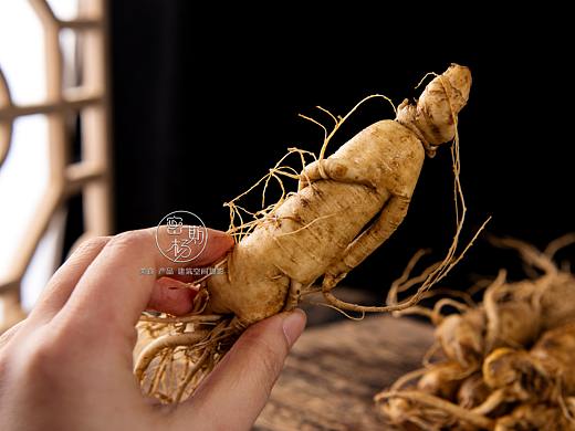 人参摄影|美食摄影|中药拍摄|电商摄影×郑州密斯杨