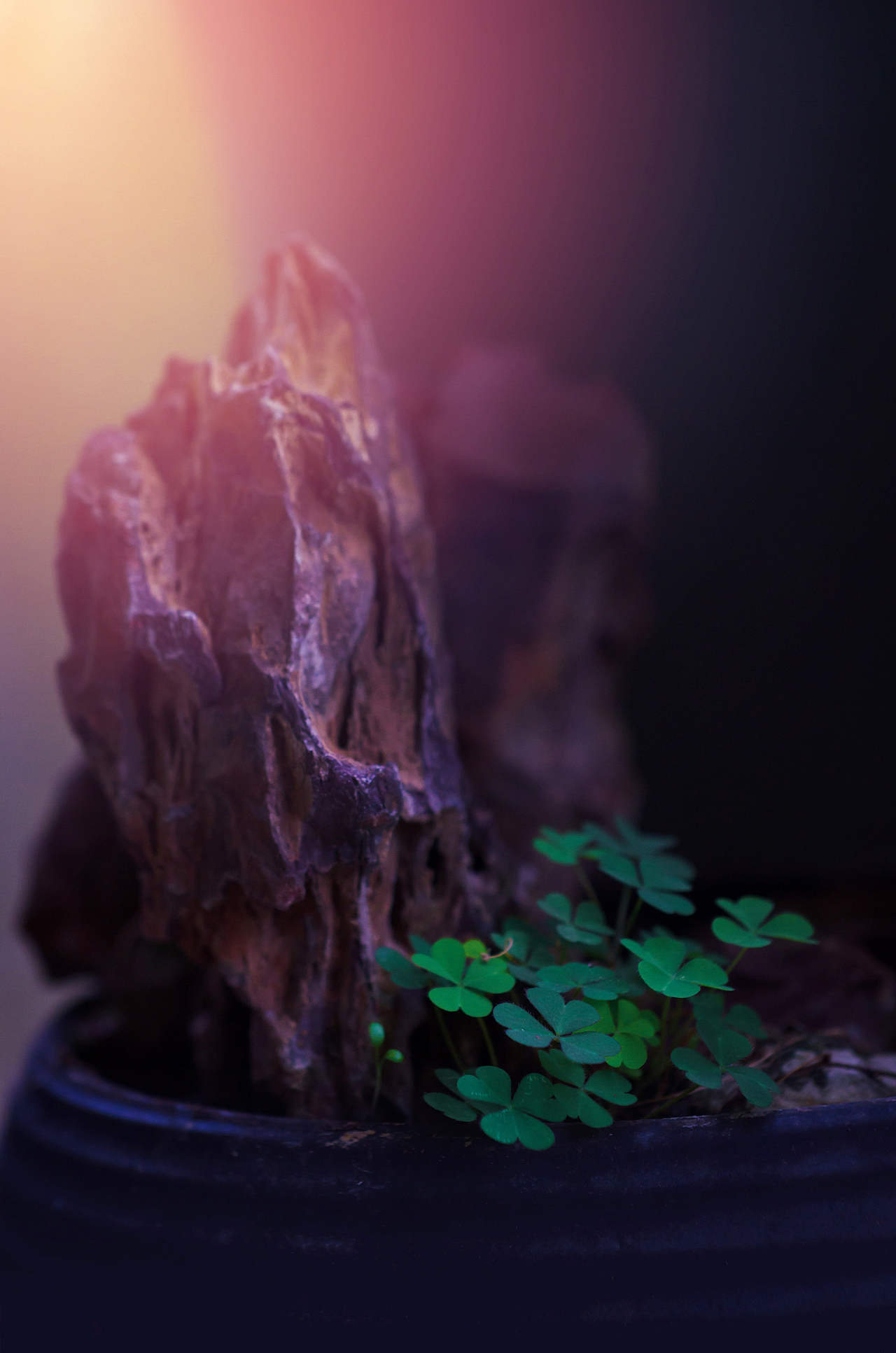 贺春（图ZMTA1Njg0MTE2） - 风光摄影 - 站酷设计师传奇原创素材 - 站酷ZCOOL