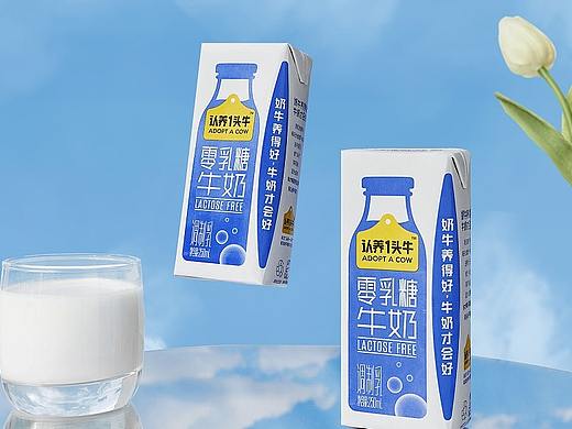 认养一头牛平面拍摄 丨 0乳糖好奶