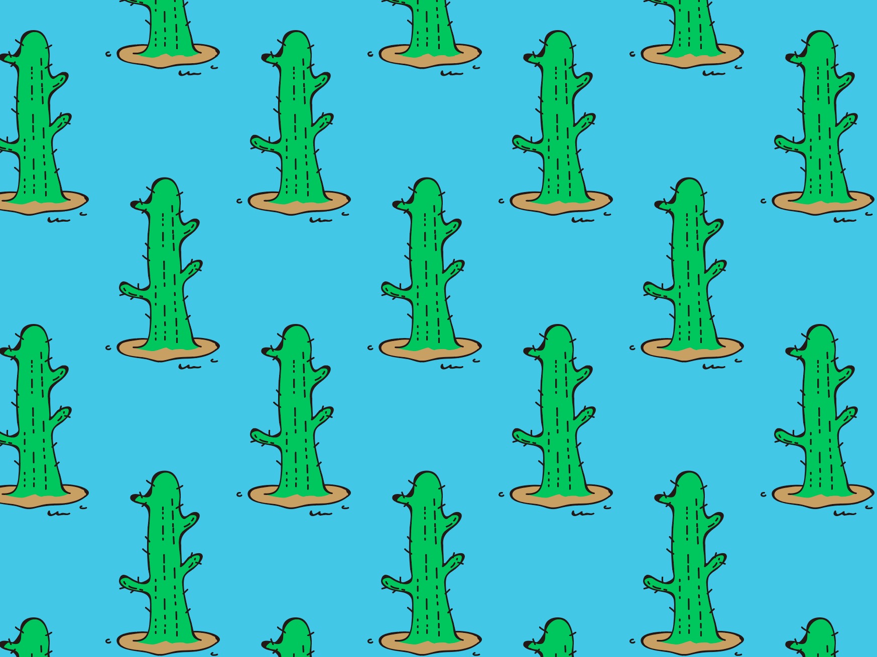 Hey Cactus ！！！