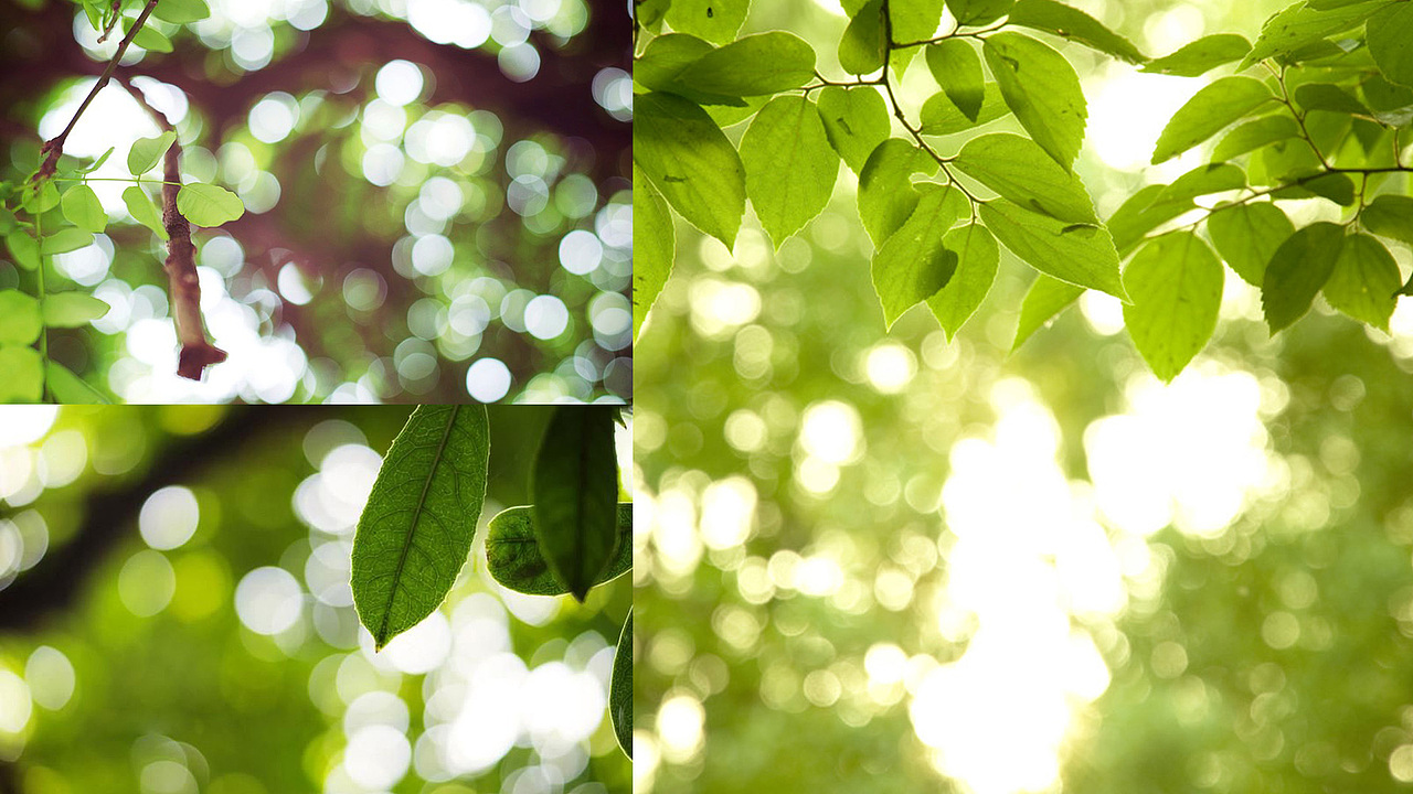 金锋青品牌设计有限公司/作品集