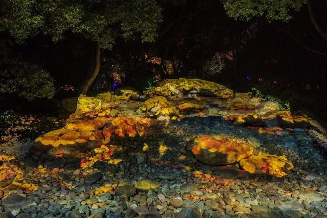 无锡梅园灯光节-石头投影