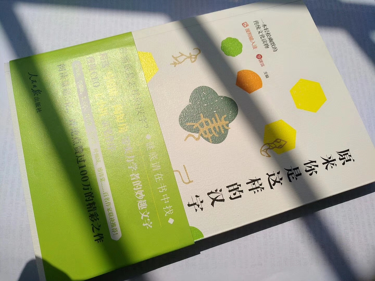 原来你是这样的汉字（图ZMjEzMzQ4Njk2） - 书籍/画册 - 站酷设计师志_超原创素材 - 站酷ZCOOL