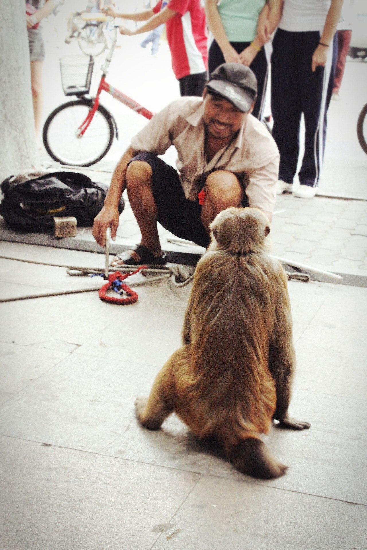 耍猴者为了自己能挣钱,让猴子们不断表演着滑稽的闹剧.