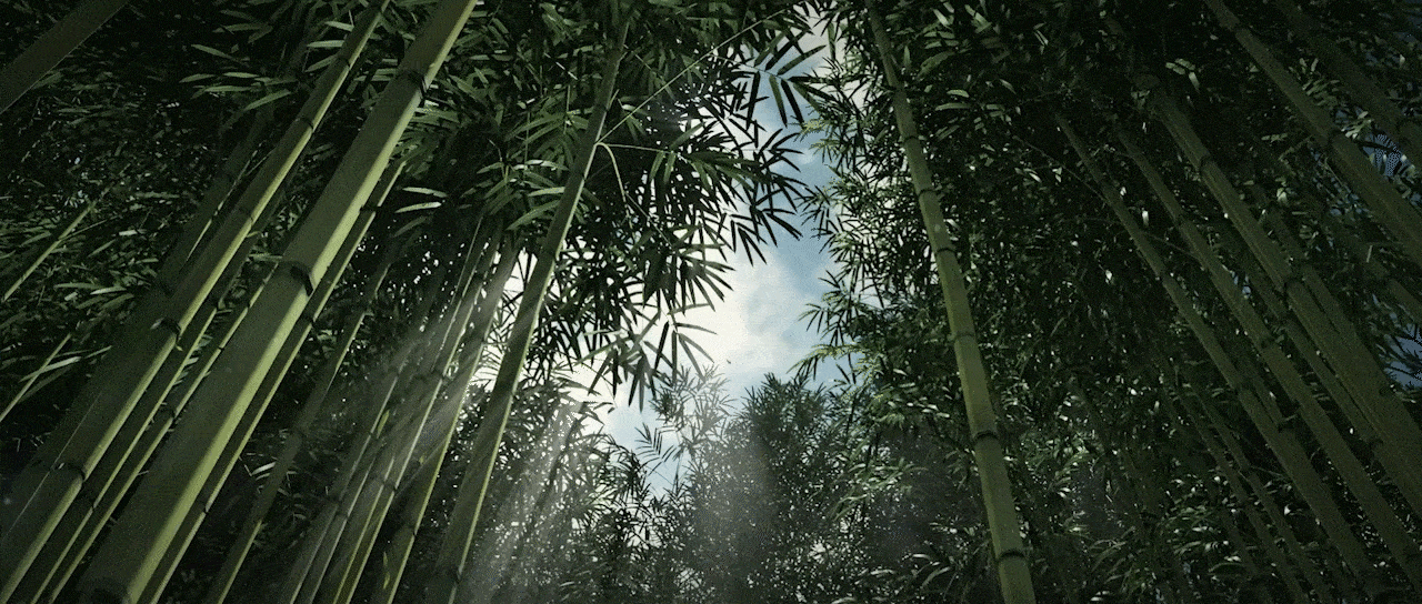 Ghost of Tsushima（图ZMjM5MDQ1Mjgw） - 动画/影视 - 站酷设计师曲元原创素材 - 站酷ZCOOL