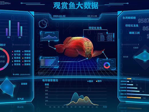 观赏鱼大数据