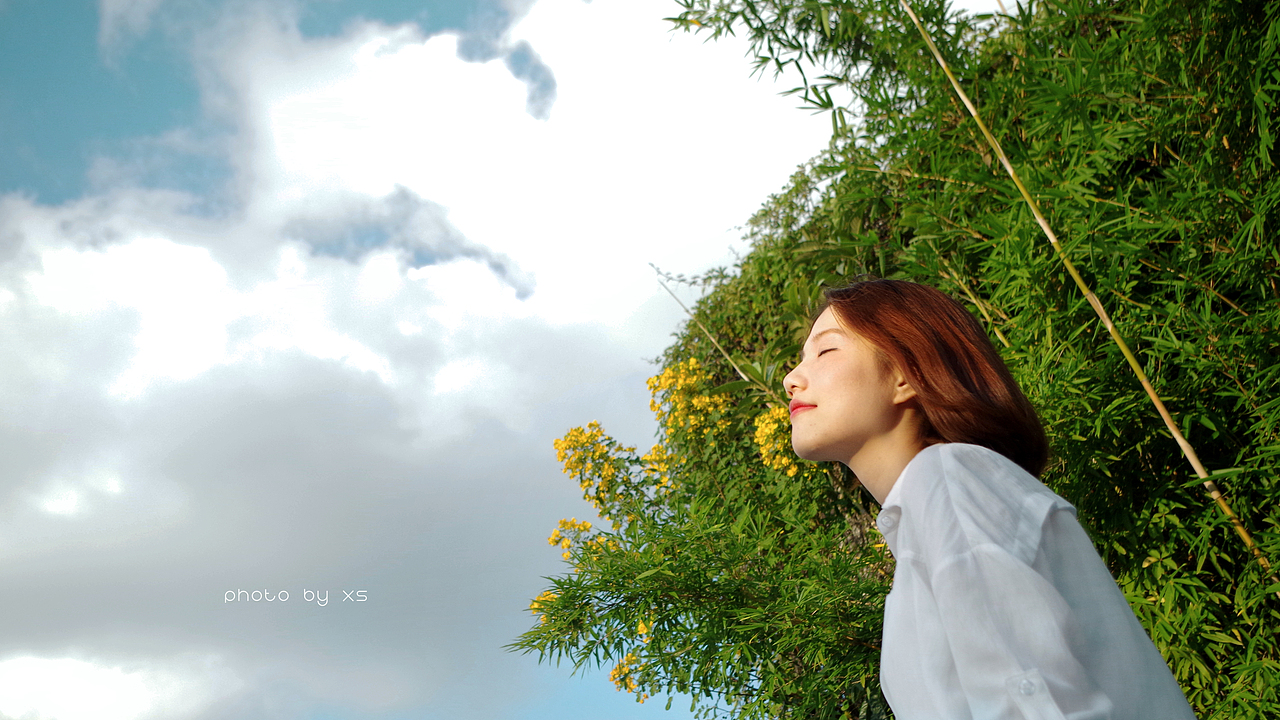 〈洒进阳光里〉