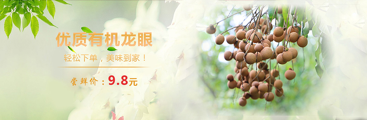 电商猕猴桃、龙眼、banner（图ZMzM0MjE5NzI=） - 运营设计 - 站酷设计师小野狼原创素材 - 站酷ZCOOL